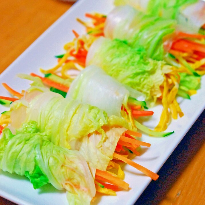 白菜で、野菜巻き巻き!